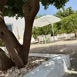 Conibianchi